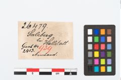 Etikett zu Bronzeknotenarmreif (NHMW-PRAE-026479)